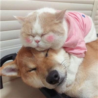 Jaime Augusto Zobel avatar